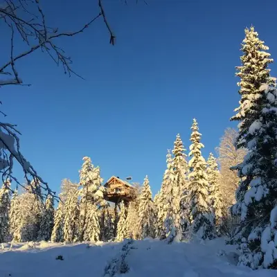 Faråsen Luxury Treetop Cabin - Sleep Among the Trees