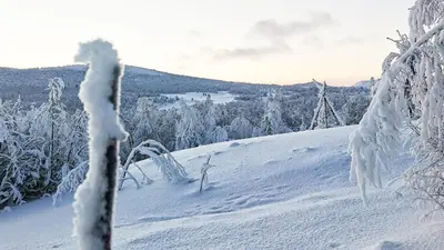 a snow covered hill with trees in the background at Hytta Idyll in Dagali