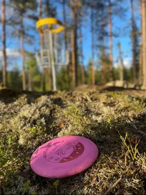 a purple frisbee laying on the ground with a frisbee at Newly renovated cabin near Ål city center, mountains & ski resort in Liagardane