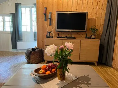 a living room with a television and a vase of flowers and fruit at Newly renovated cabin near Ål city center, mountains & ski resort in Liagardane