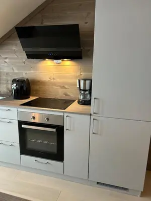 a kitchen with a stove and a refrigerator at Gorgeous apartment in Geilo in Hol
