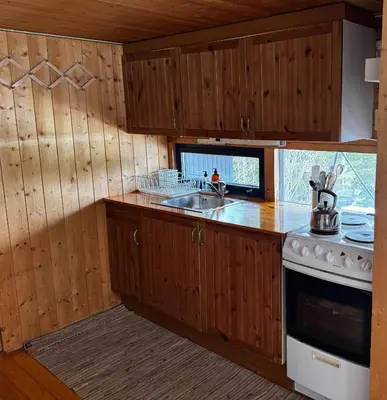 a kitchen with wooden cabinets and a sink and a stove at Ål-hytte i Snertingdal på solrik tomt med suveren beliggenhet in Gjøvik