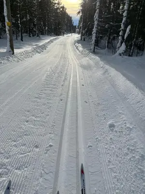 a snow covered road with ski tracks in the snow at Ål-hytte i Snertingdal på solrik tomt med suveren beliggenhet in Gjøvik