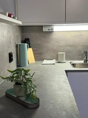 a kitchen with a potted plant sitting on a counter at Cozy flat in the heart of Bergen in Bergen