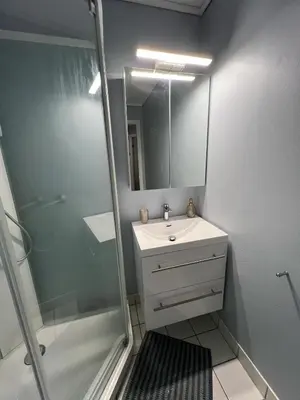 a bathroom with a shower and a sink and a mirror at Cozy flat in the heart of Bergen in Bergen