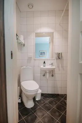 a bathroom with a toilet and a sink at Helgaker Gård in Gran