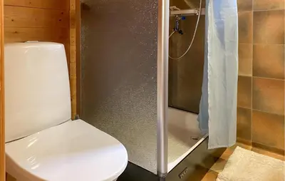 a bathroom with a toilet and a shower at 3 Bedroom Amazing Home In Haddal in Haddal