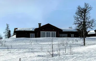 a house in a snow covered field with a tree at Nice Home In Nord-Torpa With Sauna in Nord Torpa