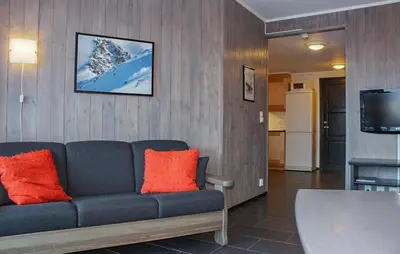 a living room with a couch and a television at Lovely Apartment In Hemsedal With Sauna in Hemsedal