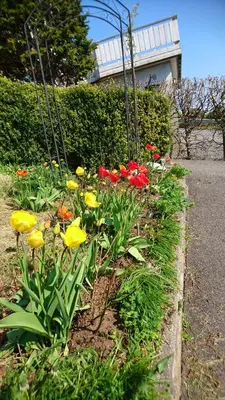 a garden with colorful flowers on the side of a road at Utsiken in Bergen