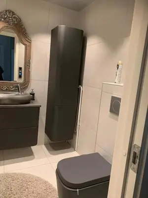 a bathroom with a toilet and a sink and a mirror at Beautiful spacious home w garden in Trondheim