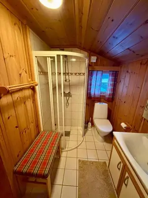 a bathroom with a shower and a toilet and a sink at Authentic Norwegian chalet for 8 with fireplaces & modern comfort near Geilo ski slopes in Geilo
