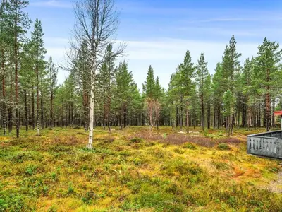 a field with trees and a building in a forest at 5 person holiday home in Røros in Røros