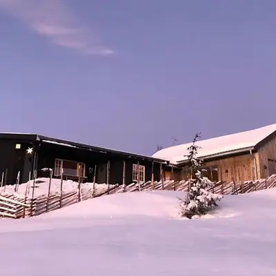 Birkenstua