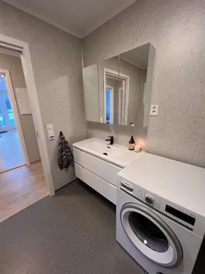 a laundry room with a washing machine and a mirror at Mountain View apartment in Isfjorden