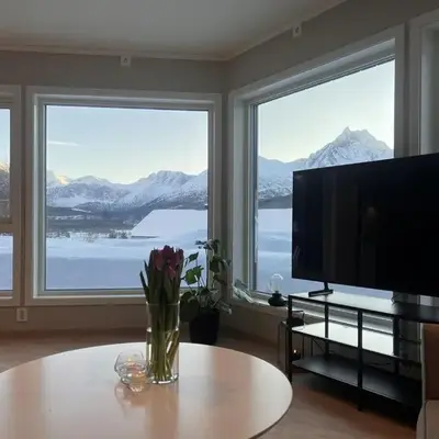 Mountain View apartment
