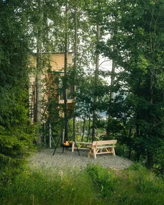 a wooden bench sitting in the middle of a forest at LAUV Tretopphytter in Eidsvoll