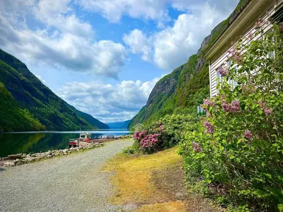 a road next to a body of water with flowers at Hylen in Kvilldal