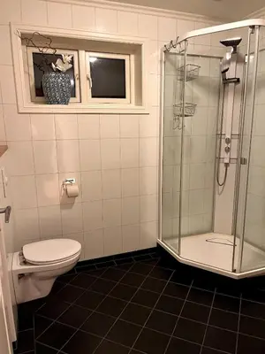 a bathroom with a toilet and a glass shower at Cozy house with sea view close to Ålesund in Havsteinen