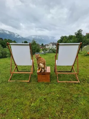 a cat sitting on a box next to two folding chairs at Over the Fjord in Leikanger