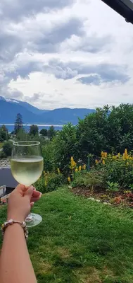 a person holding a glass of white wine at Over the Fjord in Leikanger