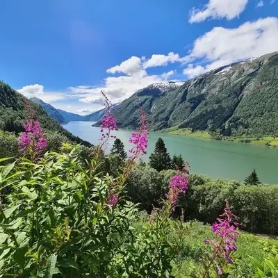 Over the Fjord