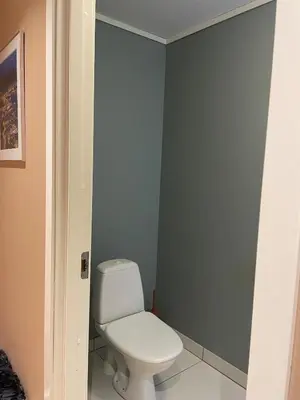 a bathroom with a toilet and a blue wall at Romslig leilighet med to soverom pluss hems med dobbeltseng in Bergen