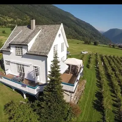 Sognefjorden-Vik i Sogn