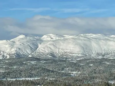 an aerial view of snow covered mountains with trees at Mountain Gem With Ski Inout In Rauland in Rauland