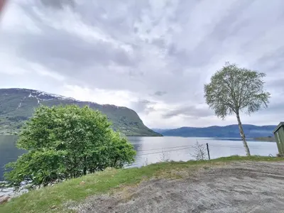 two trees on the side of a body of water at Villa ved sjøen og fjellene in Myklebostad