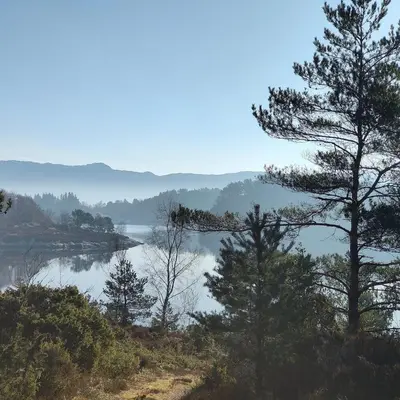 a view of a lake with trees in the foreground at cozy house with boat dock, sauna - FJORDTID in Rubbestadneset