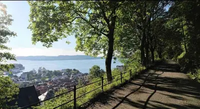 a path with trees on the side of a hill at City Centrum Villa Apartments w parking in Bergen