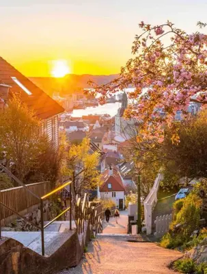 a view of a city with the sunset in the background at City Centrum Villa Apartments w parking in Bergen