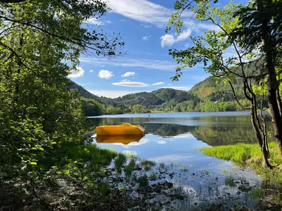 a yellow boat on a lake in the woods at #Beautiful outdoor area and cozy small cottage# in Fotlandsvåg