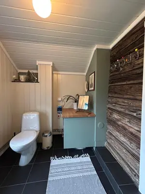 a bathroom with a toilet and a wooden wall at Tuddal Hyttegrend, GAMLESTUGU, Telemark in Tuddal