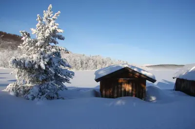 a snow covered cabin and a tree in the snow at Lemonsjø Fjellstue og Hyttegrend in Randsverk