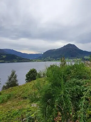 a large body of water with mountains in the background at Sandeidfjorden overnatting in Sandeid