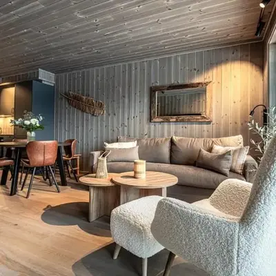 Modern and practical ski in & out apartment