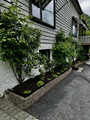 a house with bushes in front of a building at 4 bedroom house in beautiful Oldedalen in Stryn