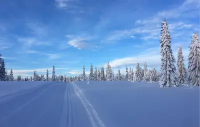 a snow covered field with snow covered trees and a road at Nice Home In Sjusjøen With Wifi in Sjusjøen
