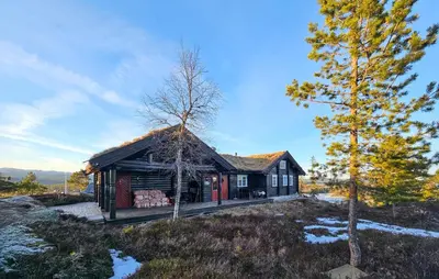 a log cabin in the woods with a tree at Stunning Home In Flesberg With Sauna in Flesberg