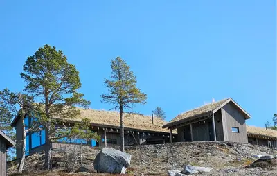 a house on a hill with trees in front of it at Beautiful Home In Tuddal With Wifi in Tuddal