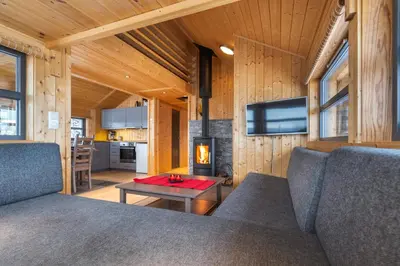 a living room with two couches and a fireplace at Liapark in Ål