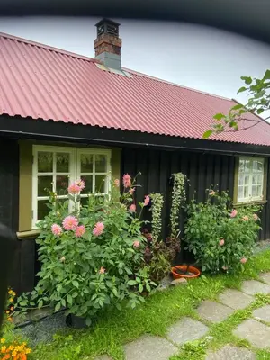 a house with a red roof and some flowers at Lite hus i hagen in Malvik