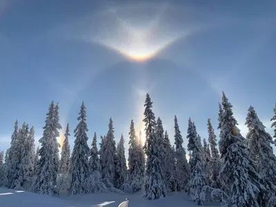 a group of snow covered trees with the sun in the sky at Spegill Escape to Mirror Glass and Breathtaking Calm at 1000m in Aurdal