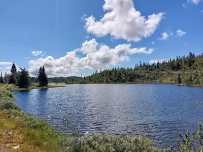 a view of a lake on a sunny day at Spegill Escape to Mirror Glass and Breathtaking Calm at 1000m in Aurdal