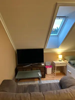 a living room with a couch and a flat screen tv at Comfortable room - Double bed - Private bathroom - Free parking - Shared kitchen - Bus stop and store 2 min walk in Lunden