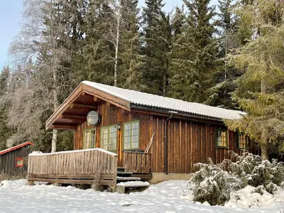 a log cabin in the snow with trees at Hagali by Norgesbooking - cabin by the lake Næra, close to Sjusjøen in Ringsaker