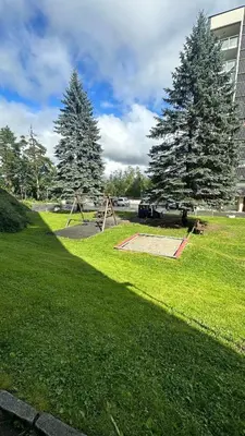 a park with two swings and two trees in the grass at One bedroom apartment close to Asker centrum in Lii