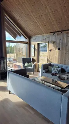 a living room with a couch and a fireplace at Cabin Lillehammer, Nordseter, Sjusjøen in Lillehammer